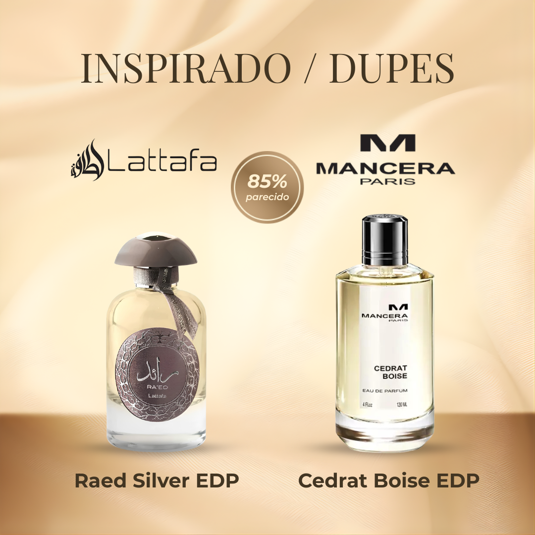 Lattafa Raed Silver EDP 100 ml