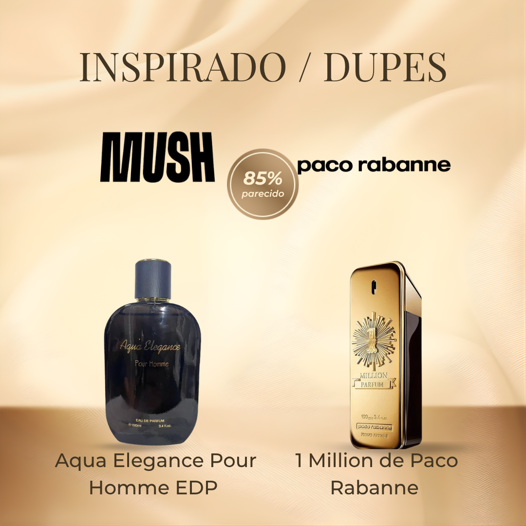Mush Mush Aqua Elegance Pour Homme EDP 100 ml