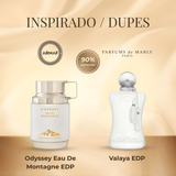 Armaf Odyssey Eau De Montagne EDP 100 ml
