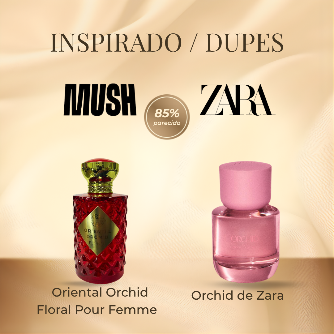 Mush Mush Oriental Orchid Floral Pour Femme EDP 100 ml